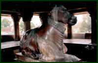 Stor Nandi tyr i et slags forkammer til et Shiva-tempel.